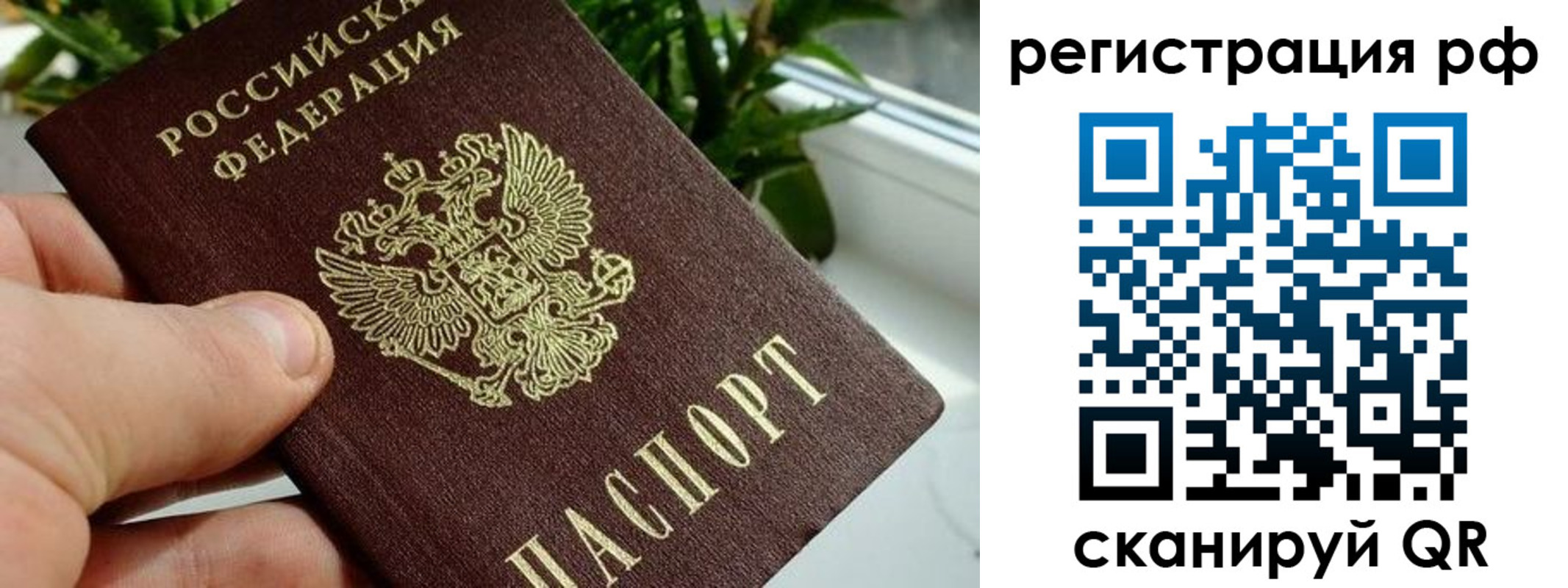 прописка паспорт в Бердске